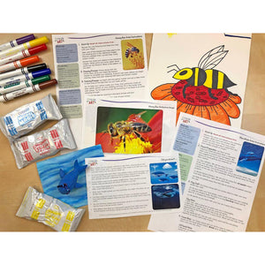 Young Artist Series: Honey Bee & Whale Art Box I Create Art 