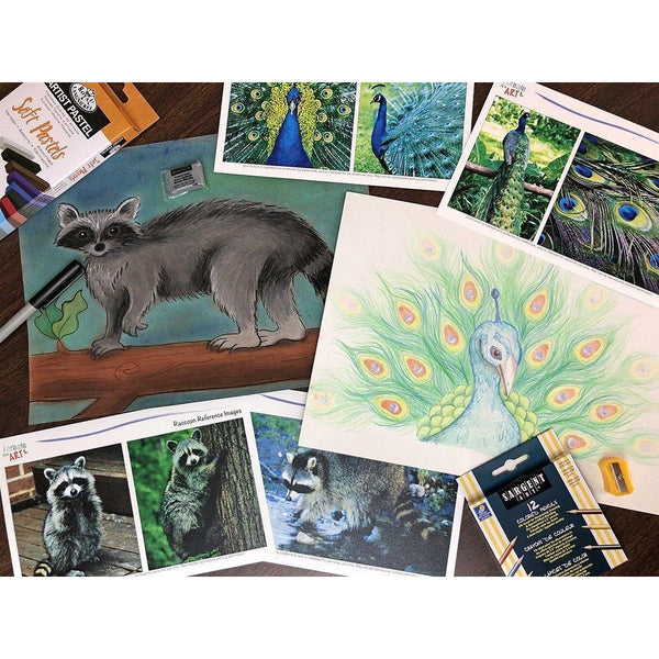 Creative Artist Series: Raccoon & Peacock Art Box I Create Art 